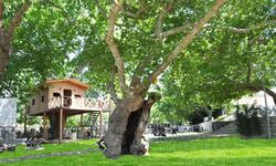 Eylül ayında İzmir'de gidilebilecek en güzel yerlerden biri: Uygun fiyatlı menüsü ile ilgi görüyor