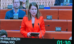 CHP’li Gökçen Avrupa Konseyi’nde konuştu: Demokrasi, ancak mücadele edersek olur