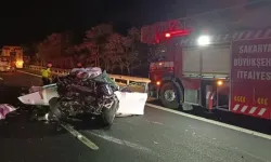 Sakarya'da feci kaza: Otomobil kağıt gibi ezildi!