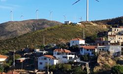 Karaburun'da bir yanda özel koruma kararı bir yanda talan!