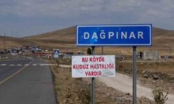 Kuduz vakası tespit edildi: Bu belde karantinaya alındı