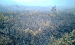 36 saat geride kaldı: Muğla'da iki ilçe alev alev yanıyor