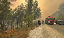 Muğla alevler altında: 108 ev boşaltıldı