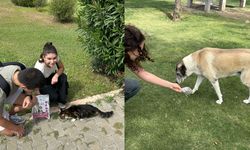 İzmir’den örnek etkinlik: Güzelbahçe gençleri sokak hayvanları için bir araya geldi