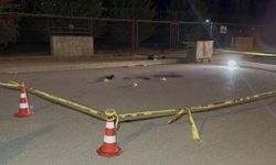 Sokak ortasında kanlar içinde bulunan genç hayatını kaybetti