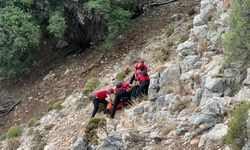 Avustralyalı turist Muğla'da ölü bulundu