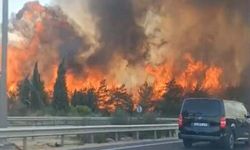 İzmir'de orman yangınına neden olmuştu: Sanığın yargılanmasına devam edildi