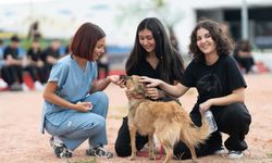 İzmir’e can dost farkındalığı: Kötü muameleye karşı çağrı