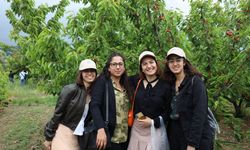 EİB uyardı: Tarım sektörü yaşlanıyor!
