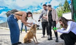 Bornova’da can dostlar için el ele