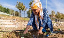 Kadifekale Mahalle Bostanı projesi İZKİTAP söyleşilerinde ele alındı