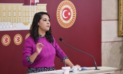 Vekil Karaca’dan yargı paketine sert tepki: Faşizmin zapturapt belgesi!
