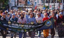 Ayvalık’ta festival coşkusu