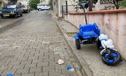 Aydın'da yürek burkan kaza: Torununu kurtarmak isterken canından oldu