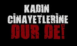 Bir kadın cinayeti daha: 2 çocuk annesini öldürdü