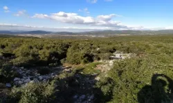 İzmir’de çöp tesisinin yeri tartışılıyor: Büyükşehir tek başına altından kalkamaz!