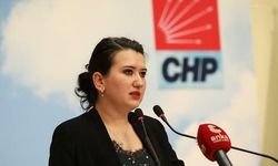 CHP İzmir Milletvekili Gökçen ateş püskürdü: Suç duyurusunda bulunacağım