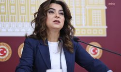 DEM Parti’den 11. Yargı Paketi'ne ret