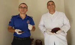 Hükümlüler cezaevinde yetiştirdi: Kilosu 15 bin TL!