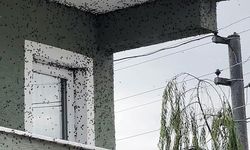Kabus geri döndü: Bina adeta renk değişti