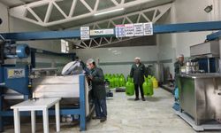 Bademler zeytinyağı fabrikası yeni sezona hazır: Hemen ve hijyenik sıkım başlıyor