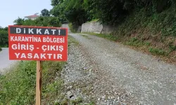 Bir kent daha şap karantinasına alındı