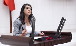 Sevda Karaca'dan Bakan Tekin'e Ülkü Ocakları sorusu: Saldırıları durduracak mısınız?