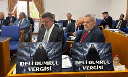 TBMM’de kira geliri tartışması: Dikkat çeken deli dumrul dövizi
