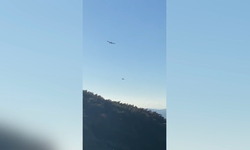 Selçuk’ta anız yangını ormana sıçradı