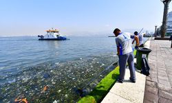 1 yıllık rapor açıklandı: İzmir Körfezi’nin dibinde ne ararsan var!