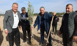 Atatürk’ün vasiyeti Urla’da hayata geçti: Zeytin bahçesinde ilk fidan dikimi