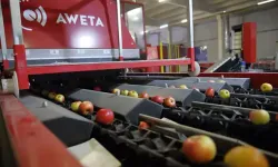 25 ülkeye ihracat yapıyordu: Türkiye'nin gıda devi iflas bayrağını çekti!