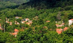 Ne Alpler ne Aspen: İzmir’in masal kasabası görenleri hayran bırakıyor