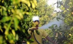 4 kişilik ailenin ölümü sonrası Bakanlık’tan yeni karar!