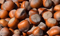 Rekabet Kurulu'ndan Nutella'nın üreticisi için yeni karar