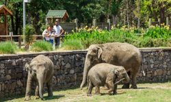İzmir’de ara tatil rehberi: Çocuklarla nereye gidilir?