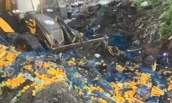 6 ton mandalina sınırdan geri döndü!