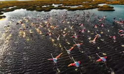 UNESCO listesi’nde İzmir: Antik kent, kale, liman...