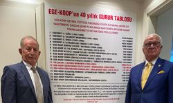 Ege Koop'tan kentsel dönüşüm için yol haritası: Uygulanabilse sorun çözülür!