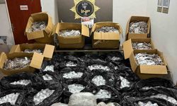 İzmir’de zehir tacirine kritik operasyon: Evinden 974 uyuşturucu hap çıktı