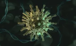 Kara Ölüm kendini hatırlattı: 700 yıl sonra yeniden!