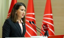 CHP'li Gökçe Gökçen'den iddianameye sert tepki: Hukuki değil, kişisel kin