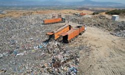 Çöpler İzmir’i sardı: Kara sinekler İzmirli'nin kabusu oldu