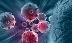 Kansere karşı bakteri tedavisi: Başarı oranı yüksek, yan etkileri düşük!