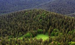 Meryem Ana’ya komşu RES projesi: Gözler Bakanlık’ta