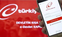 e-Devlet'e erişim sorunu: Giriş yapılamıyor!
