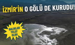 İzmir’in o gölü de kurudu: Balıklar telef oldu