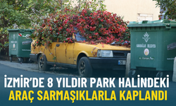 İzmir’de 8 yıldır park halindeki araç sarmaşıklarla kaplandı: Sahibi öldü, otomobil doğayla bütünleşti