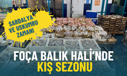 İzmir’de balık tezgahları canlandı: Palamut bu yıl yok, sardalya ve uskumru zamanı