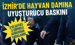 İzmir’de hayvan damına uyuşturucu baskını: 2’si satıcı 3 şüpheli kıskıvrak yakalandı